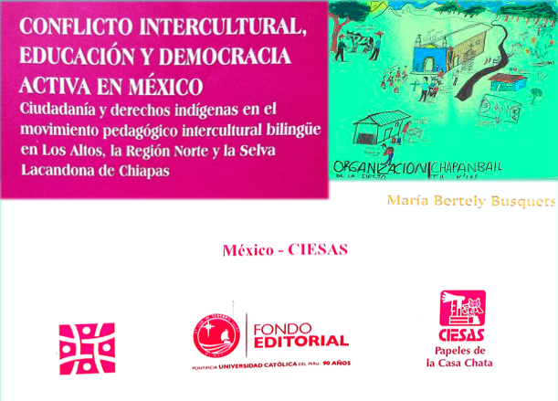 Conflicto Intercultural Educación Y Democracia Activa En México Ciudadanía Y Derechos 9384