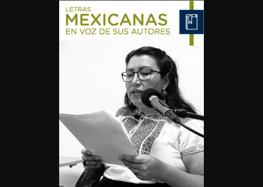 Yásnaya Elena Aguilar Gil comparte una miscelánea de su obra ensayística y narrativa